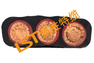 PUR扁電纜 PUR扁電纜