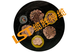 網(wǎng)線復(fù)合卷筒電纜 網(wǎng)線復(fù)合卷筒電纜