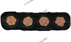 特種卷盤(pán)電纜 特種卷盤(pán)電纜